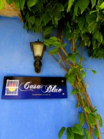 /album/casa-blue-hotel-y-business/img-0188-jpg/