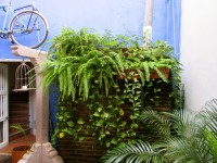 /album/casa-blue-hotel-y-business/img-0219-jpg/